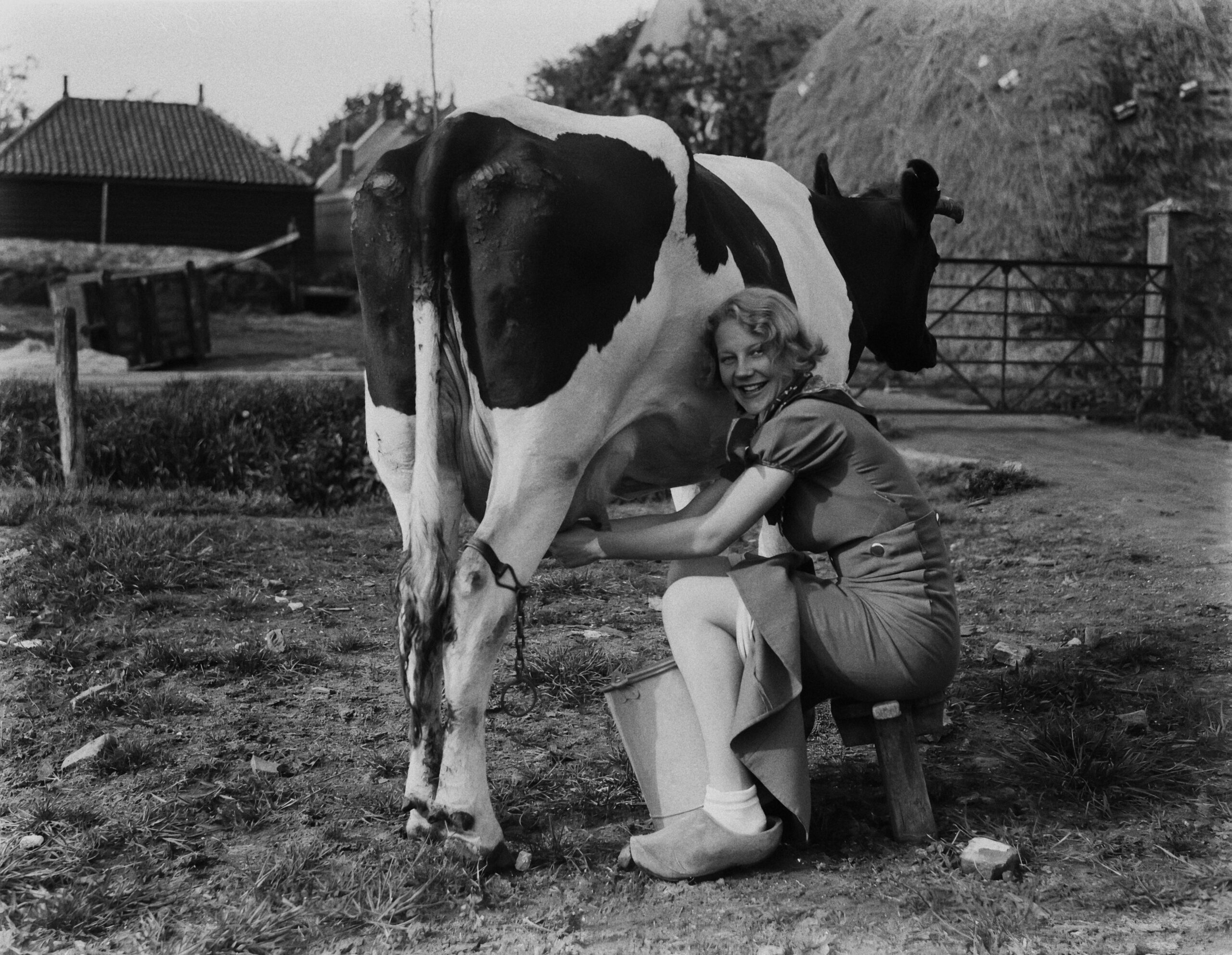 Rohmilch-Romantik